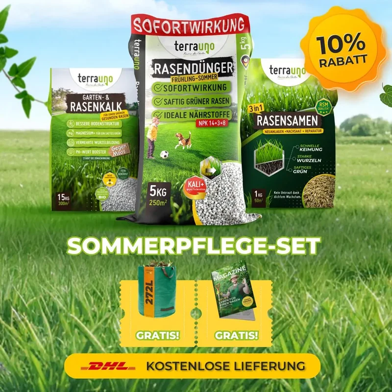 Frühlingsstarter-Set