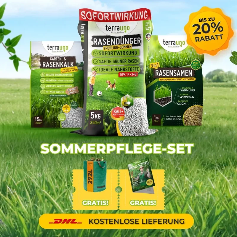 Frühlingsstarter-Set
