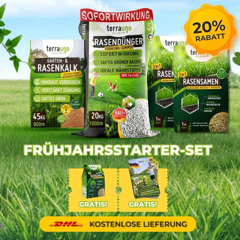 Frühlingsstarter-Set