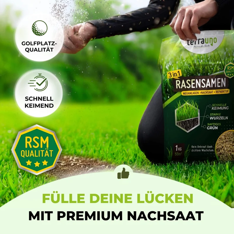 Frühlingsstarter-Set