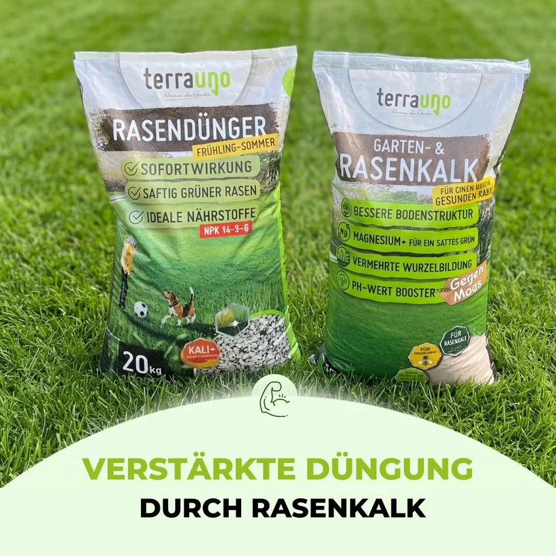 Frühlingsstarter-Set