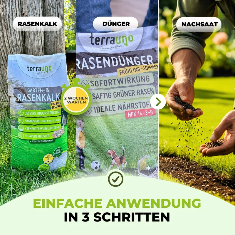 Frühlingsstarter-Set