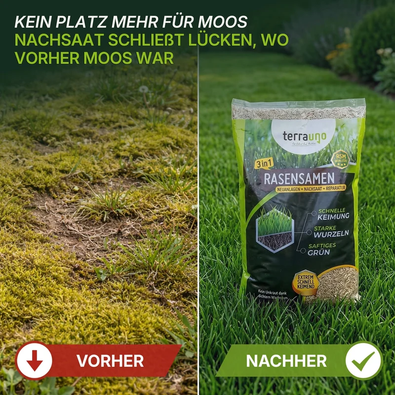 Moosfrei Soforthilfe Set