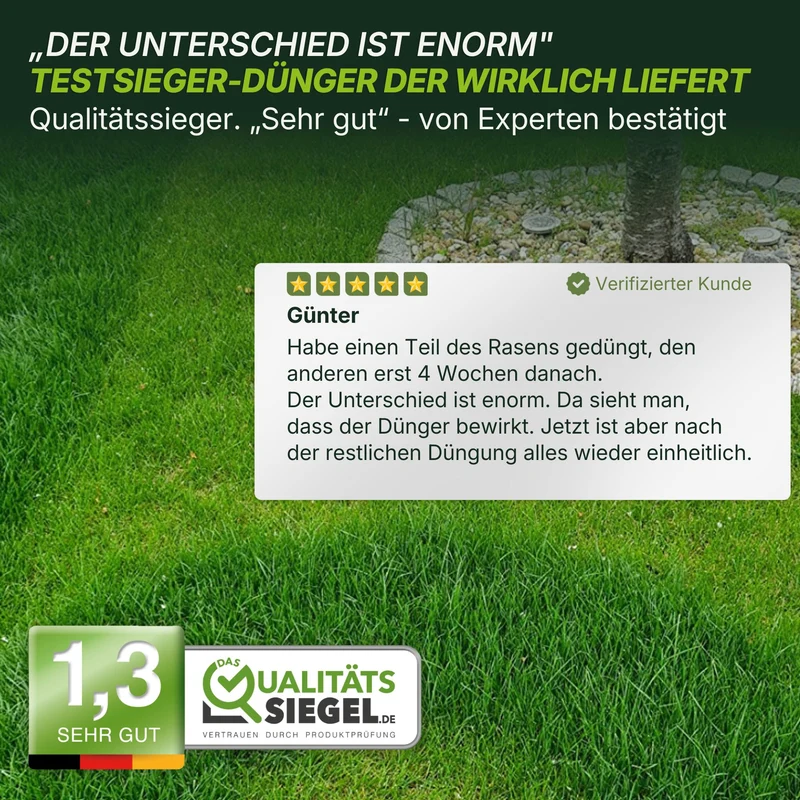 Rasendünger Sommer und Frühling