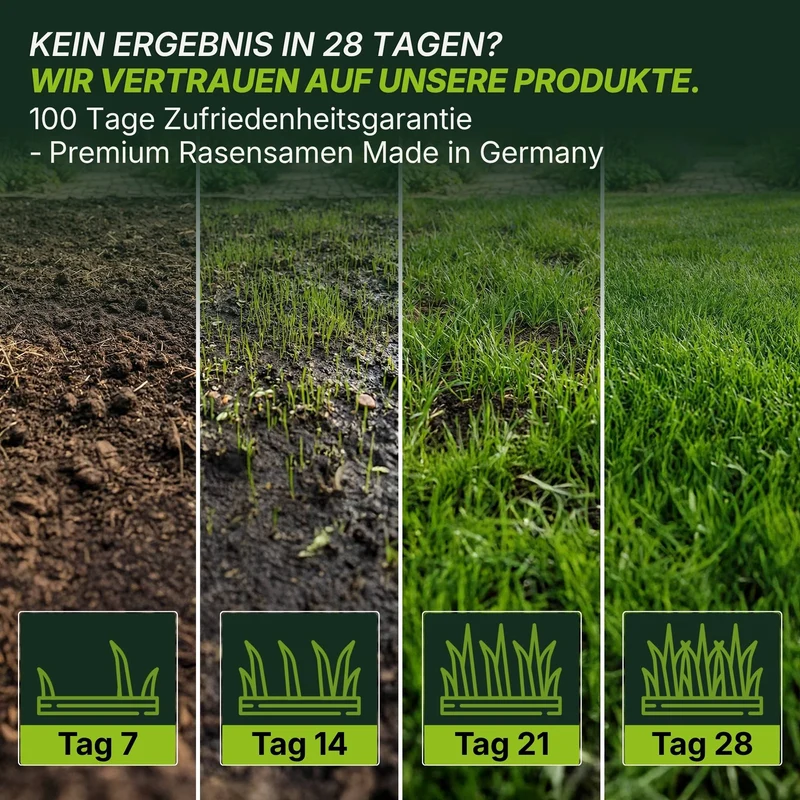 Rasensamen - Nachsaat, Reparatur und Neuanlage