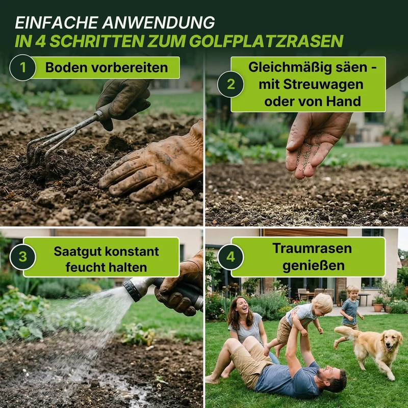 Rasensamen - Nachsaat, Reparatur und Neuanlage