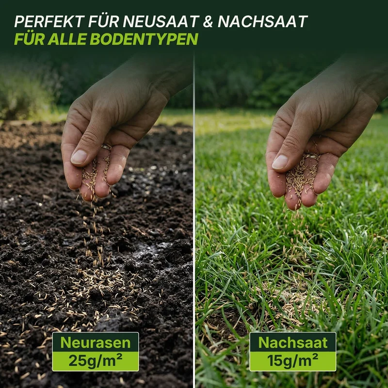Rasensamen - Nachsaat, Reparatur und Neuanlage