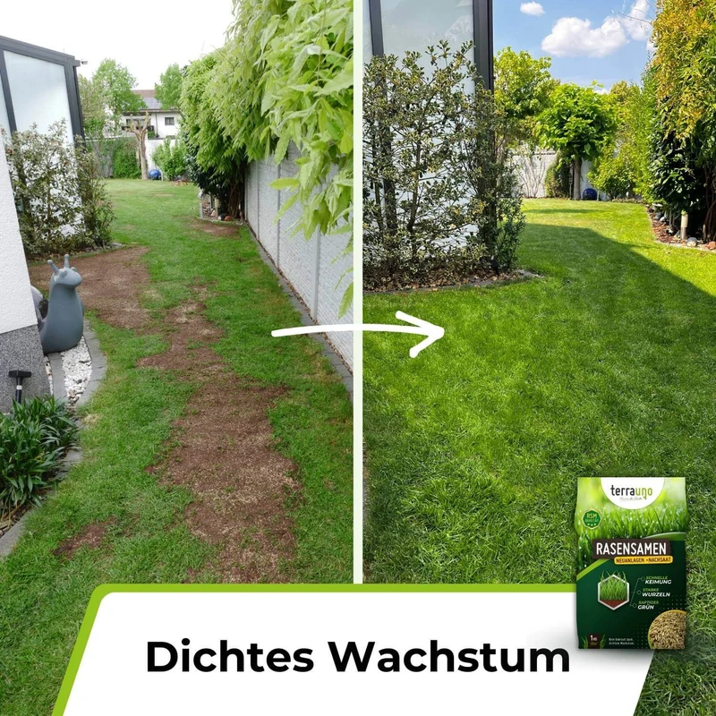 Rasensamen - Nachsaat, Reparatur und Neuanlage