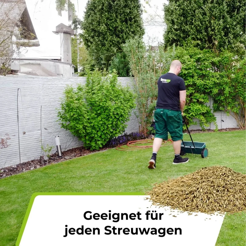 Rasensamen - Nachsaat, Reparatur und Neuanlage
