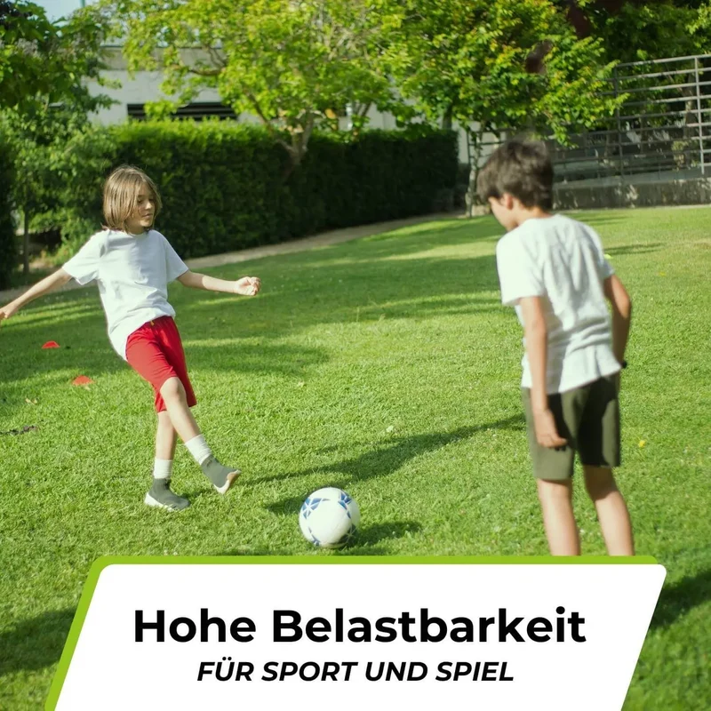 Rasensamen - Nachsaat, Reparatur und Neuanlage