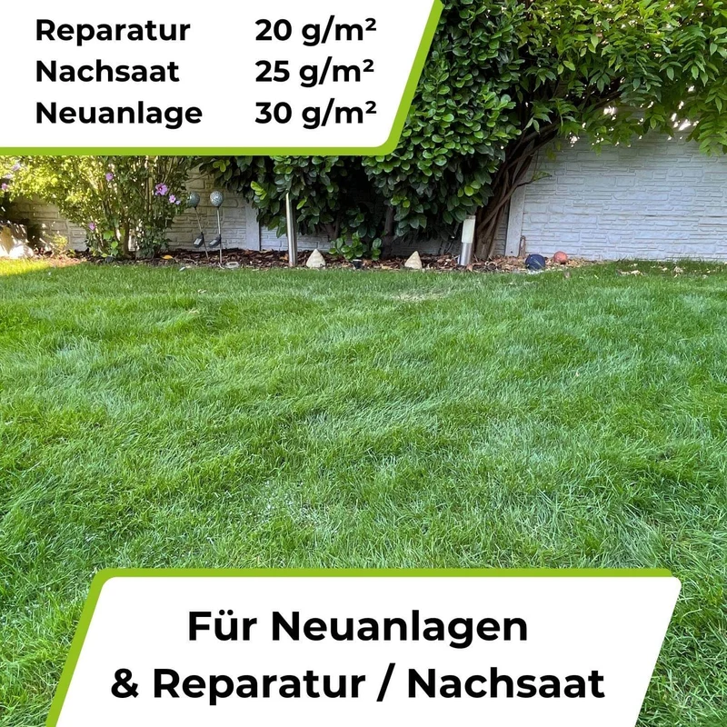 Rasensamen - Nachsaat, Reparatur und Neuanlage