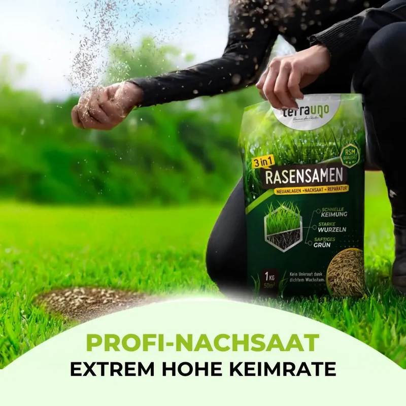 Rasensamen - Nachsaat, Reparatur und Neuanlage