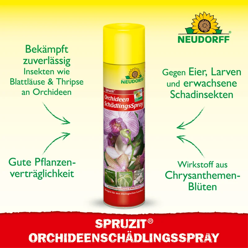 Spruzit OrchideenSchädlingsSpray