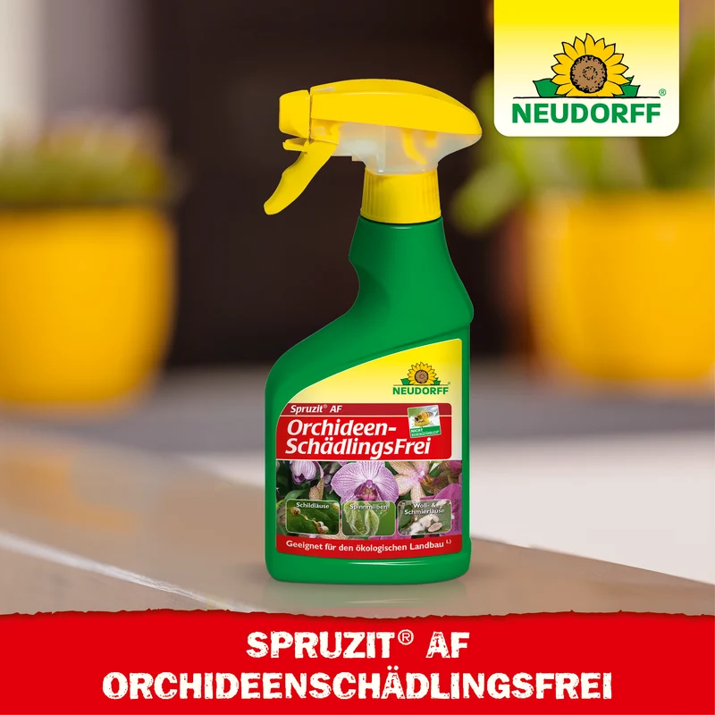 Spruzit AF Orchideen SchädlingsFrei