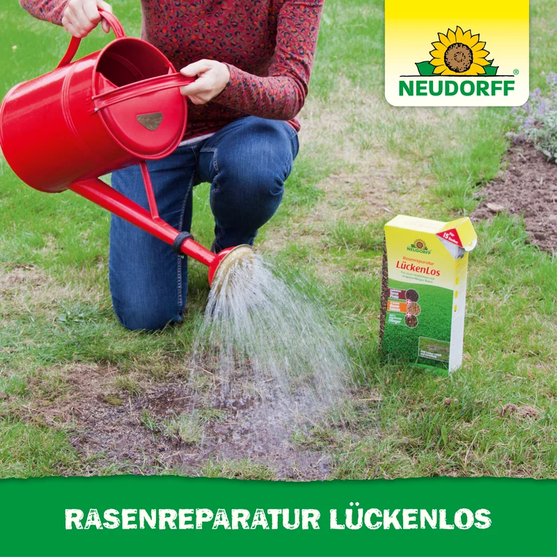 Rasenreparatur LückenLos