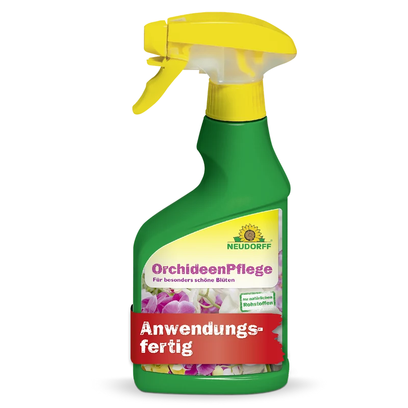 OrchideenPflege