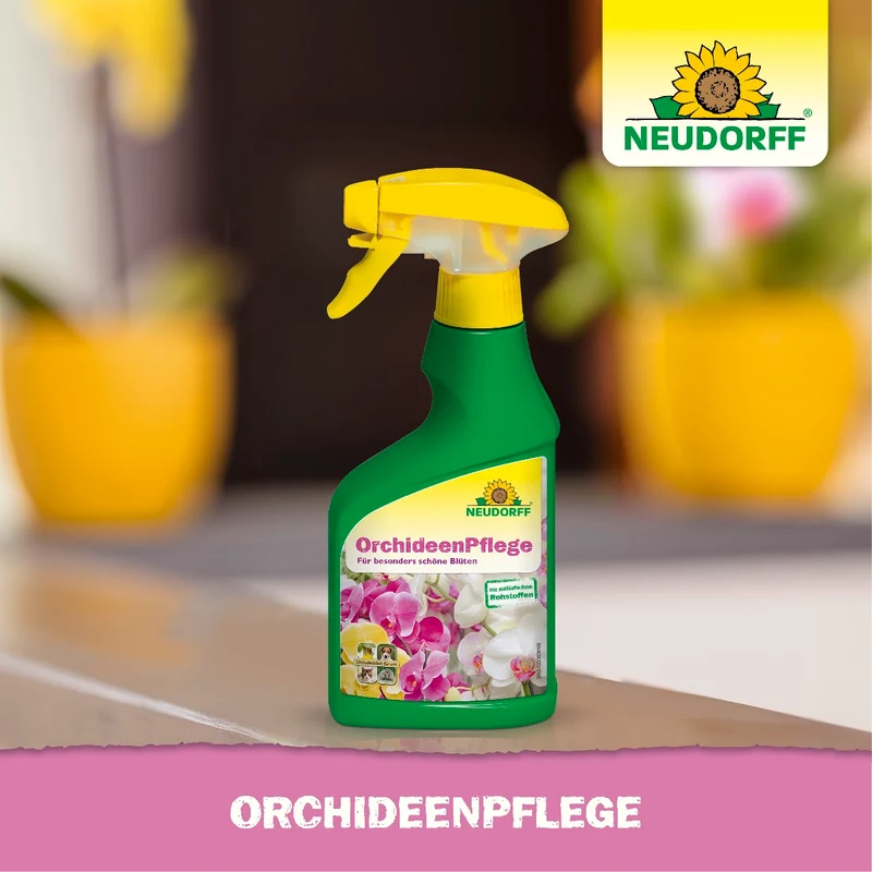 OrchideenPflege
