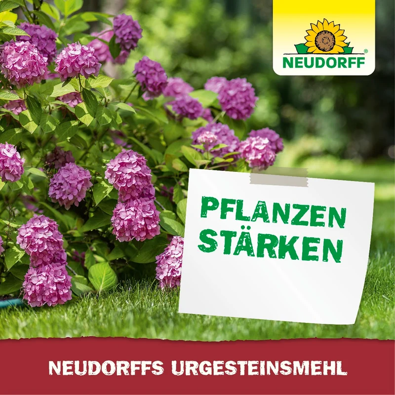 UrgesteinsMehl