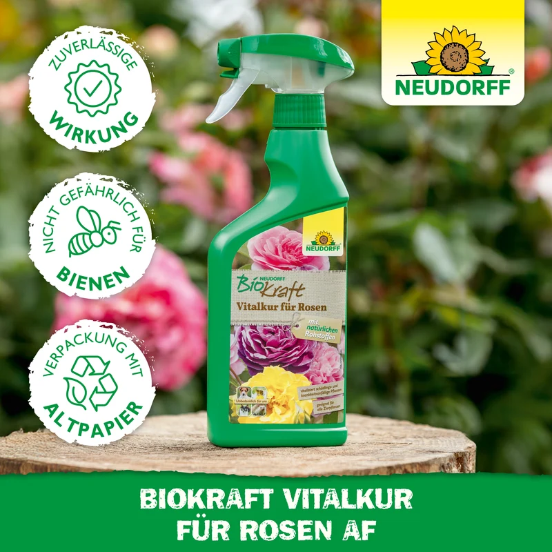 Neudorff BioKraft Vitalkur für Rosen AF