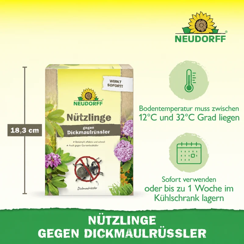 Nützlinge gegen Dickmaulrüssler