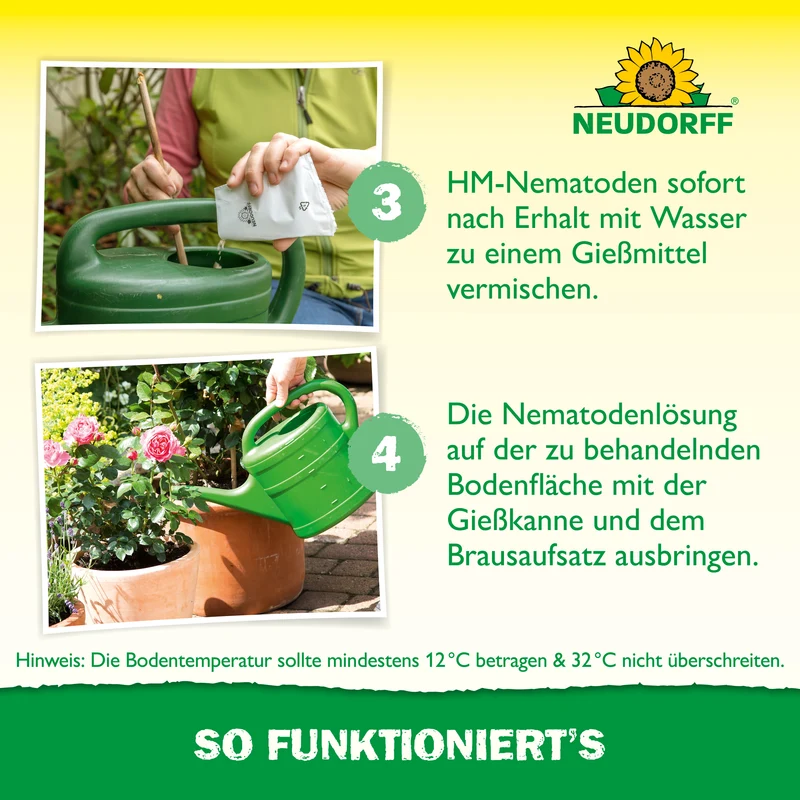 Nützlinge gegen Dickmaulrüssler