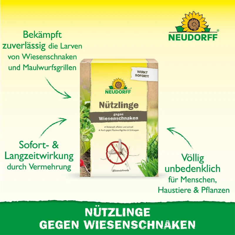 Nützlinge gegen Wiesenschnaken