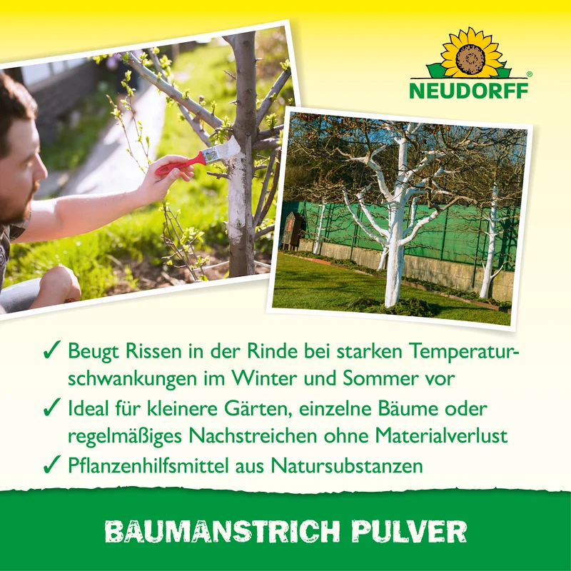 Baumanstrich Pulver