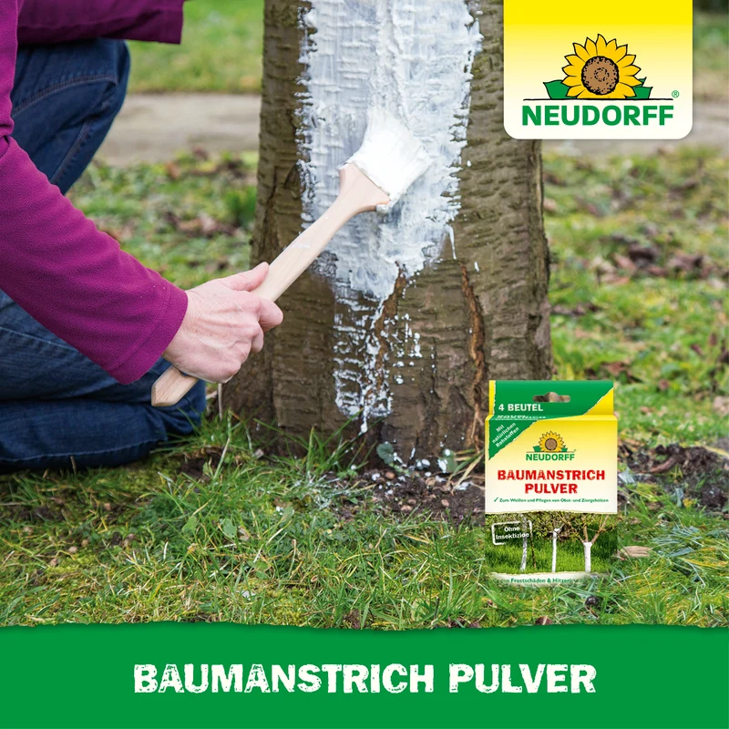 Baumanstrich Pulver