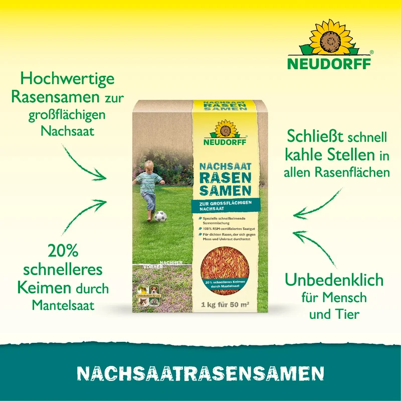 Nachsaat RasenSamen