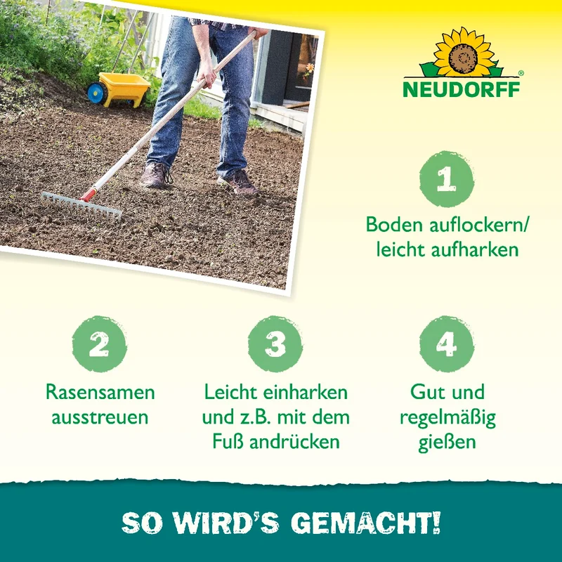 Nachsaat RasenSamen