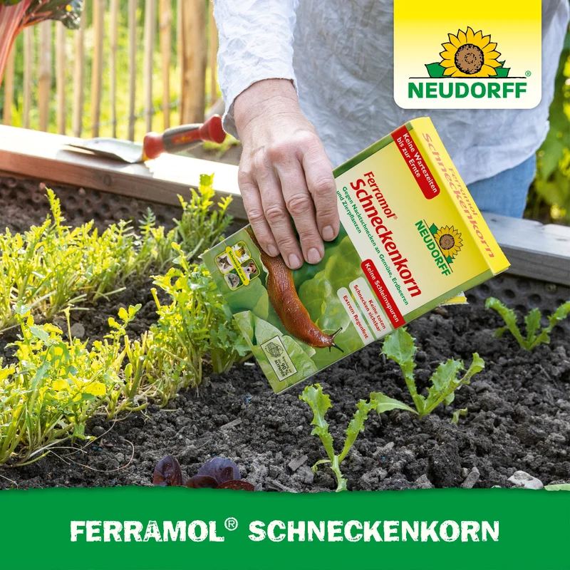 Ferramol Schneckenkorn
