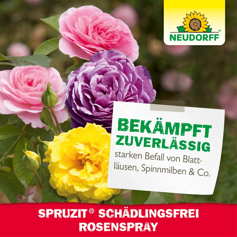 Spruzit Schädlingsfrei RosenSpray