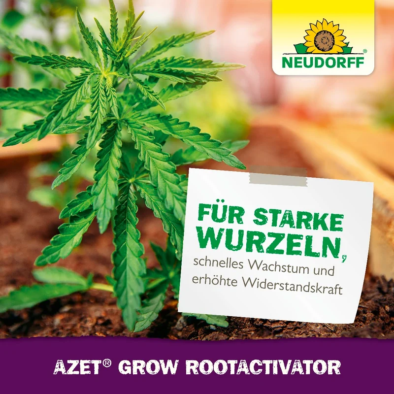 Grow RootActivator