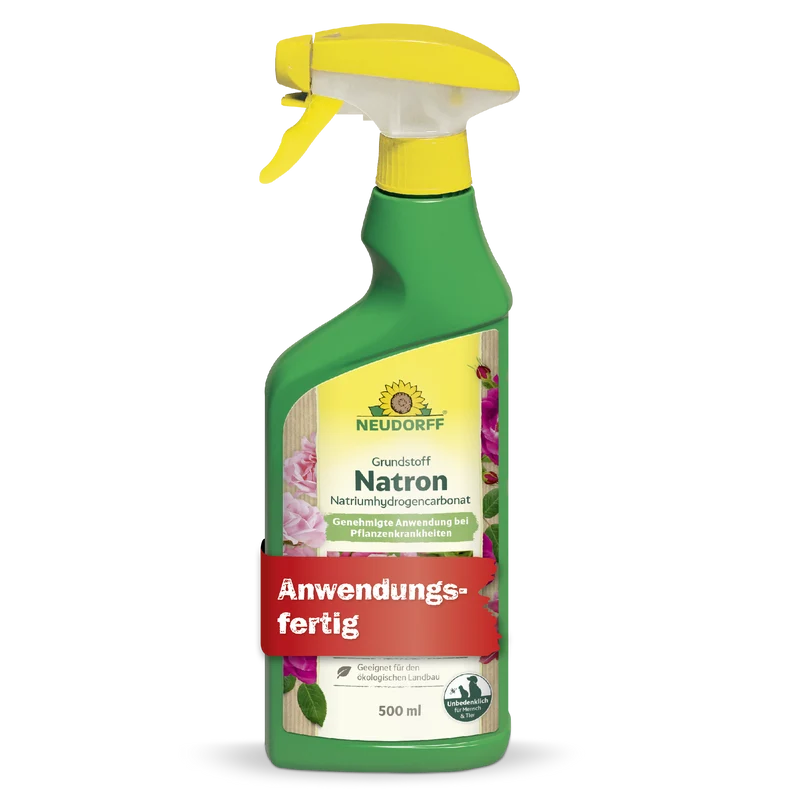 Grundstoff Natron 500ml