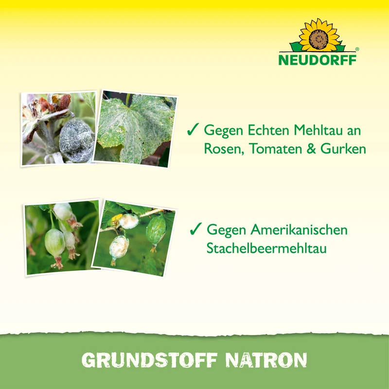 Grundstoff Natron 500ml