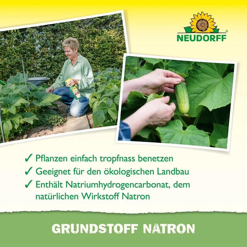 Grundstoff Natron 500ml