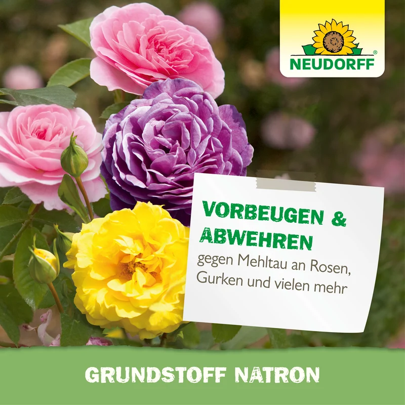 Grundstoff Natron 500ml