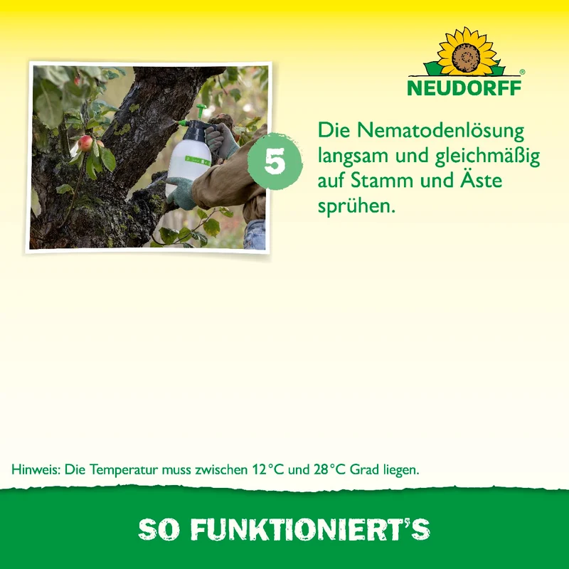 Nützlinge gegen Apfelwickler