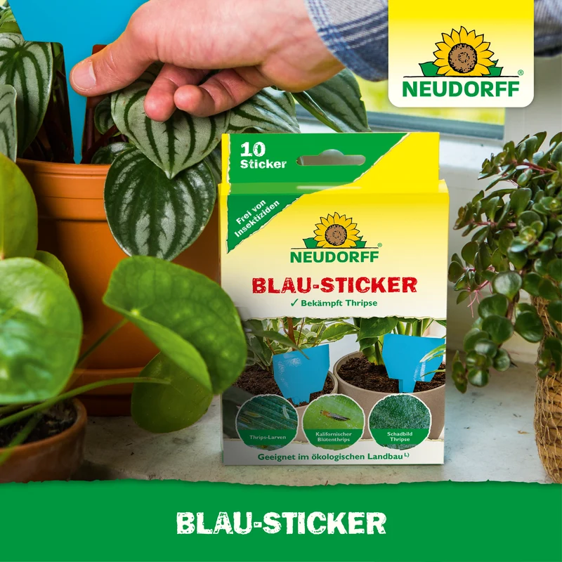 Blau-Sticker