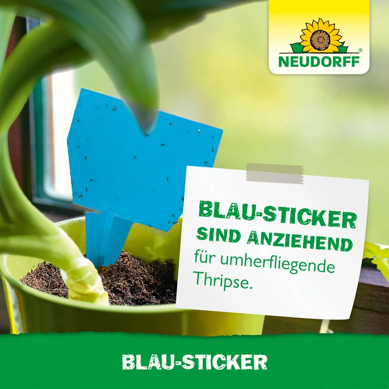Blau-Sticker