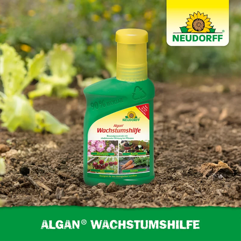 Algan Wachstumshilfe