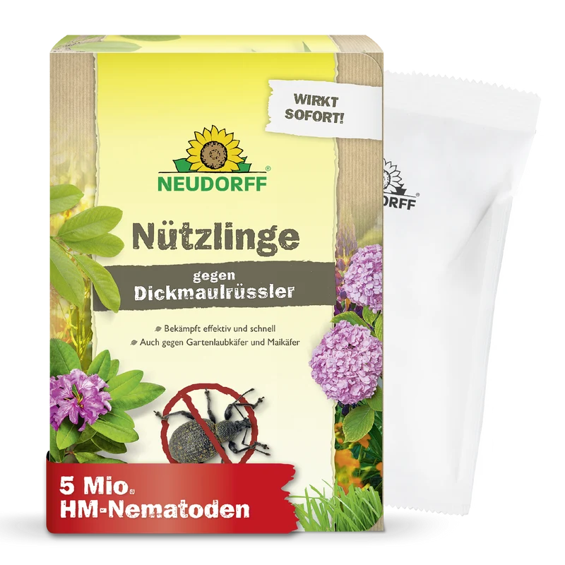 Nützlinge gegen Dickmaulrüssler