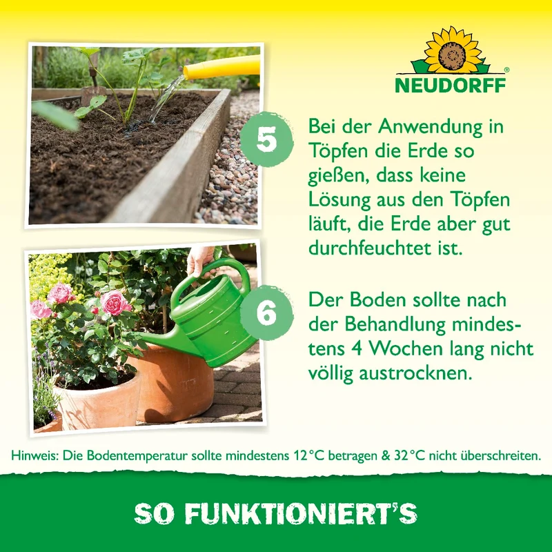 Nützlinge gegen Dickmaulrüssler