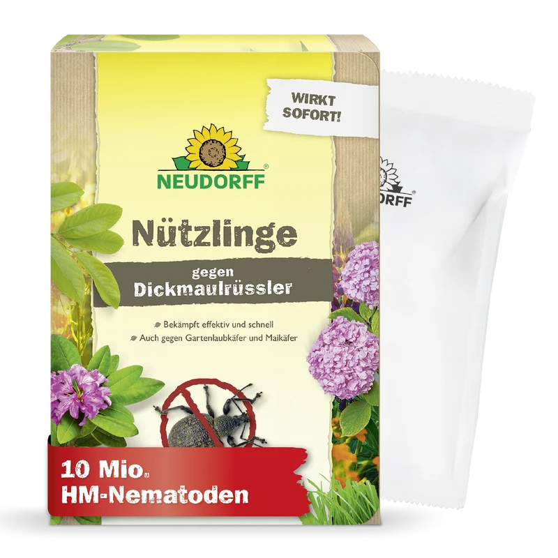 Nützlinge gegen Dickmaulrüssler