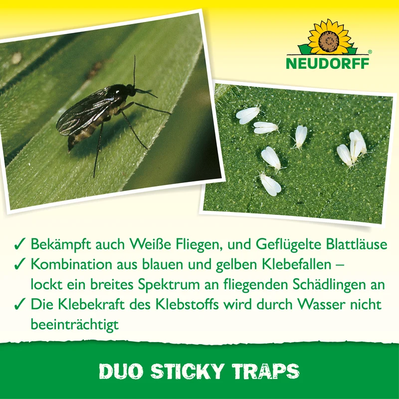 Duo Sticky Traps