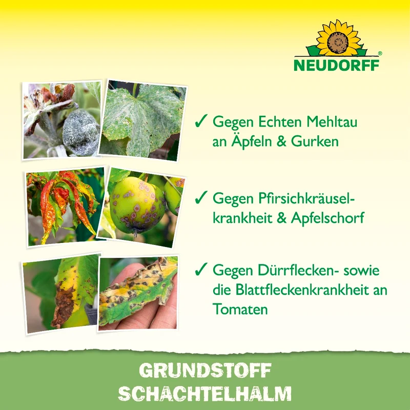 Neudorff Grundstoff Schachtelhalm