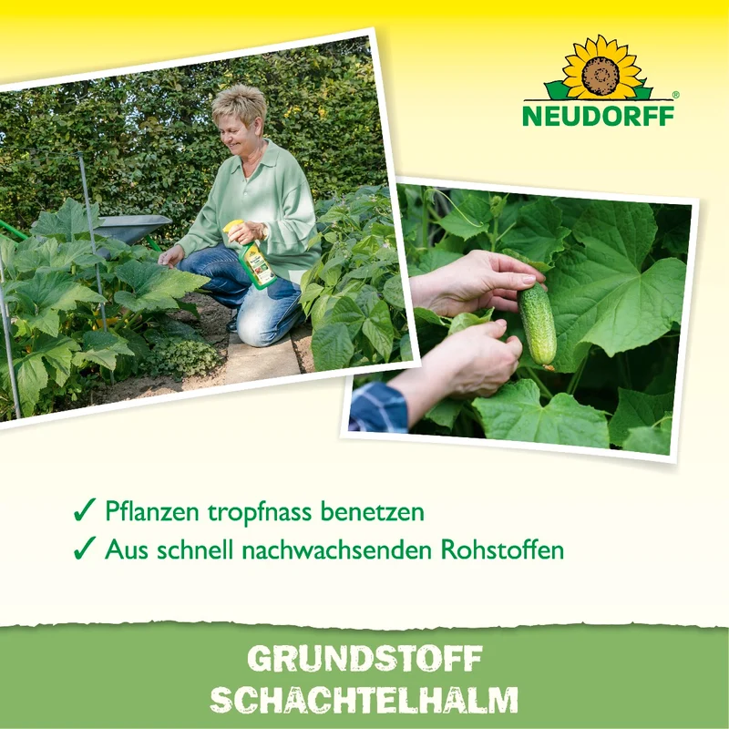 Neudorff Grundstoff Schachtelhalm