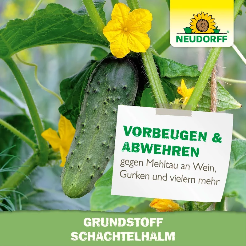 Neudorff Grundstoff Schachtelhalm