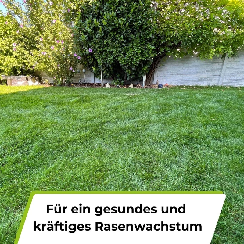 Rasenerde torffrei