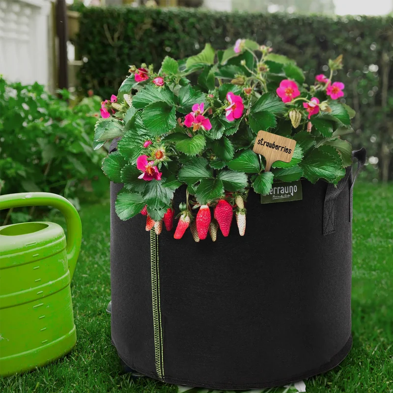 Pflanzsack aus Vliesstoff inkl. Pflanzenschilder